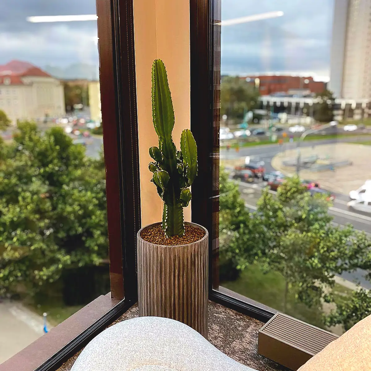 Duże kaktusy i inne sukulenty - roślinne must have we wnętrzach.